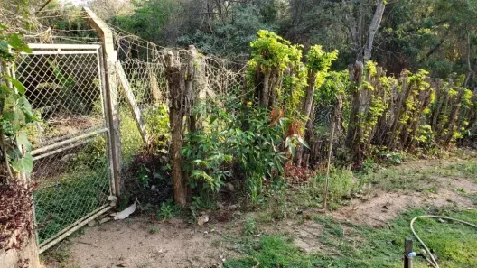 Lote/Terreno à venda, 5100m² no Braiaia, Itu