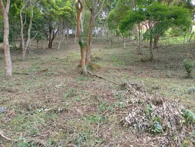 Lote/Terreno à venda, 4500m² no Araras, Petrópolis