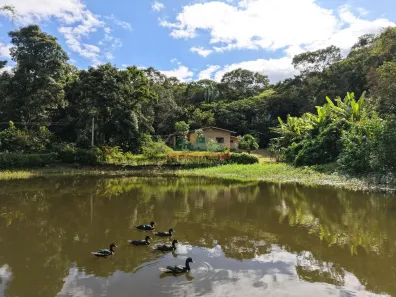 Fazenda/Sítio com 4 Quartos à venda, 125000m² no Santa Ana, Pacoti