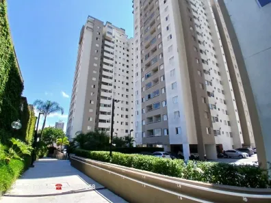 Apartamento com 3 Quartos para alugar, 65m² no Vila Butantã, São Paulo