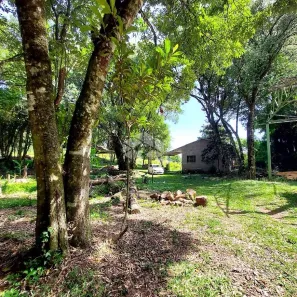 Fazenda/Sítio à venda, 29000m² no , Monte Belo do Sul