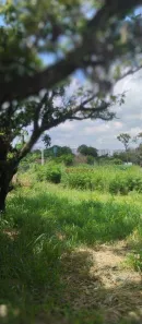 Lote/Terreno à venda, 15000m² no Chácara São Jorge, Piracicaba