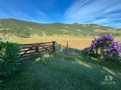 Fazenda/Sítio com 2 Quartos à venda, 144m² no Costa do Morro, Paulo Lopes