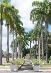 Casa de Condomínio com 3 Quartos à venda, 112m² no , Macaíba