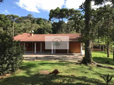 Fazenda/Sítio com 5 Quartos à venda, 104806m² no Centro, Campo Alegre