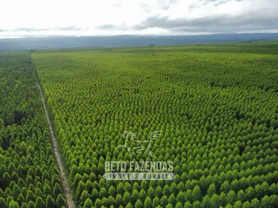 Fazenda/Sítio à venda, 177192400m² no Área Rural de Ribeira, Ribeira