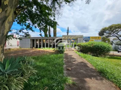 Ponto Comercial para alugar, 1493m² no Vila Ipiranga, Londrina
