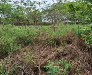 Lote/Terreno à venda, 239m² no , Getulina