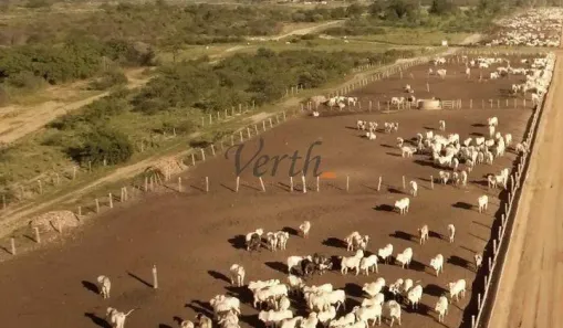 com 1 Quarto à venda, 20000m² no , Ibotirama