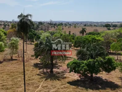 Fazenda/Sítio à venda, 1m² no Centro, Aloândia