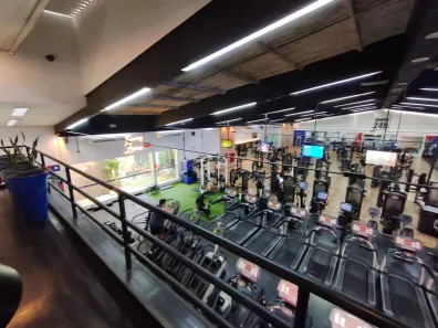 Galpão/Depósito/Armazém com 2 Quartos para alugar, 2400m² no Vila Gomes Cardim, São Paulo