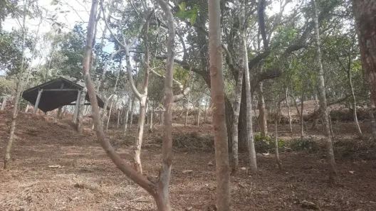 Lote/Terreno à venda, 2450m² no , Santo Antônio do Pinhal