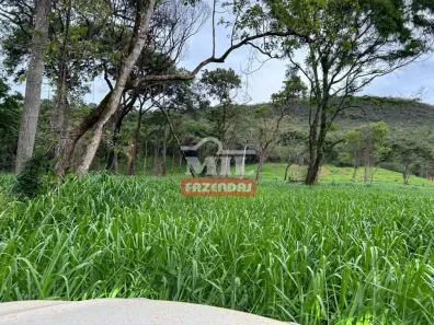 Fazenda/Sítio à venda, 500m² no , Pirenópolis