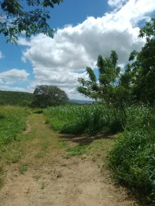 Fazenda/Sítio com 4 Quartos à venda, 90m² no Área Rural de Gravatá, Gravatá