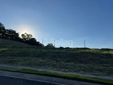 Lote/Terreno à venda, 250m² no Pinheirinho, Vinhedo