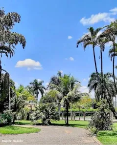 Fazenda/Sítio com 3 Quartos à venda, 600m² no Jardim Alice, Jaguariúna