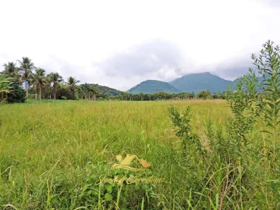 Fazenda/Sítio com 4 Quartos à venda, 31000m² no Gleba Ribeira, Cachoeiras de Macacu