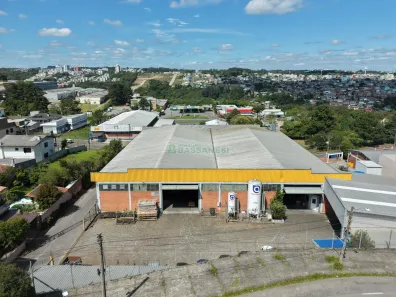 Galpão/Depósito/Armazém à venda, 2500m² no Pioneiro, Caxias do Sul