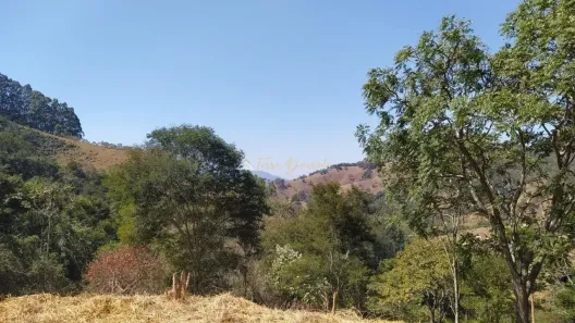 Fazenda/Sítio à venda, 31000m² no , Sapucaí-Mirim