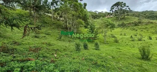 Fazenda/Sítio à venda, 73000m² no Centro, Itamonte
