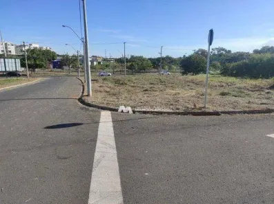 Lote/Terreno à venda, 1217m² no Jardim Caparroz, São José do Rio Preto
