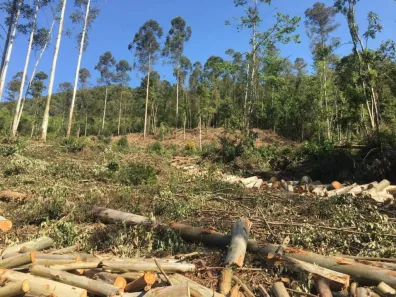 Lote/Terreno à venda, 6m² no Arroio Paixão, Nova Petrópolis