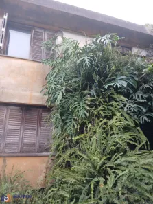 Casa com 4 Quartos à venda, 260m² no Santa Tereza, Porto Alegre