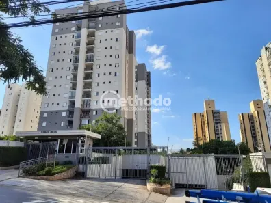 Apartamento com 3 Quartos à venda, 76m² no Chácara Primavera, Campinas
