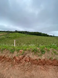 Lote/Terreno à venda, 500m² no Altos de Caucaia (Caucaia do Alto), Cotia