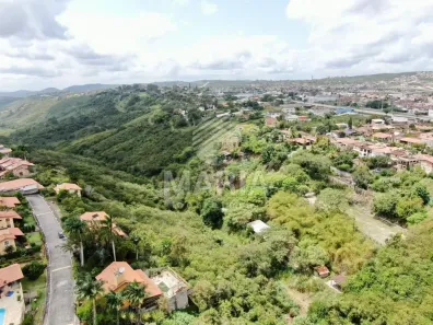 Fazenda/Sítio à venda, 16000m² no Ebenezer, Gravatá