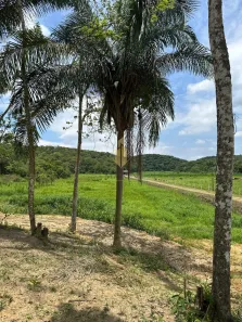 Fazenda/Sítio à venda, 55000m² no Rio do Peixe, Luiz Alves
