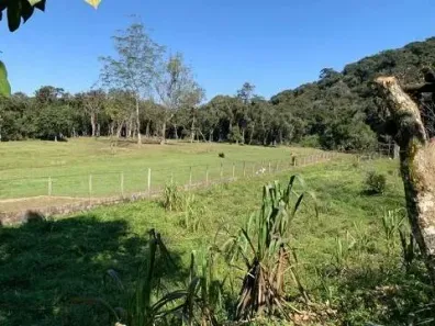 Fazenda/Sítio com 4 Quartos à venda, 11000m² no Juquitiba, Juquitiba
