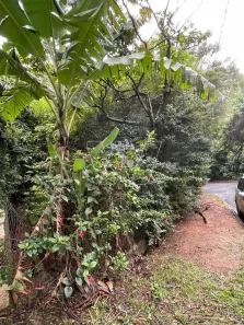 Lote/Terreno à venda, 580m² no Jardim Sorirama (Sousas), Campinas
