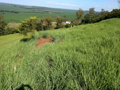 Fazenda/Sítio com 2 Quartos à venda, 145200m² no , Doutor Camargo