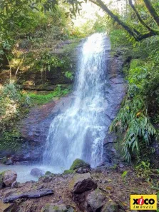 Fazenda/Sítio com 1 Quarto à venda, 5000m² no Pinhal Alto, Nova Petrópolis