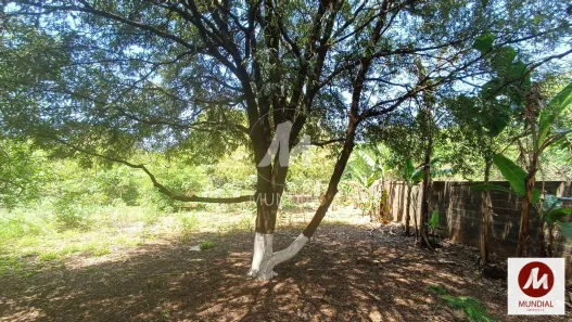 Lote/Terreno à venda, 1300m² no Jardim Diva Tarlá de Carvalho, Ribeirão Preto