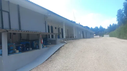 Galpão/Depósito/Armazém à venda, 50000m² no , São João do Triunfo