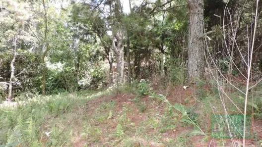 Lote/Terreno à venda, 4750m² no Cônego, Nova Friburgo
