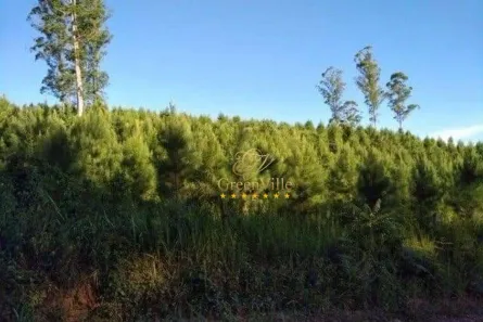 Fazenda/Sítio com 1 Quarto à venda, 2585970m² no Itambezinho, Campo Largo