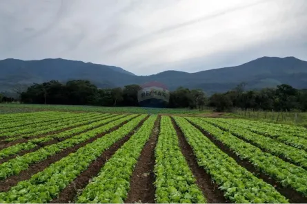 Lote/Terreno à venda, 62608m² no Sanga Funda, Terra de Areia
