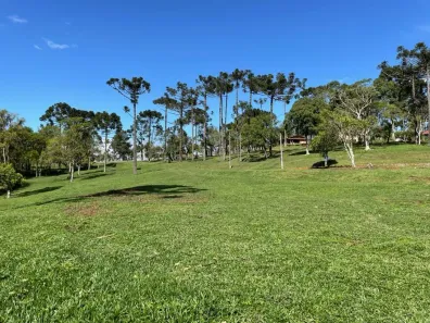 Lote/Terreno à venda, 15000m² no Bateias de Baixo, Campo Alegre