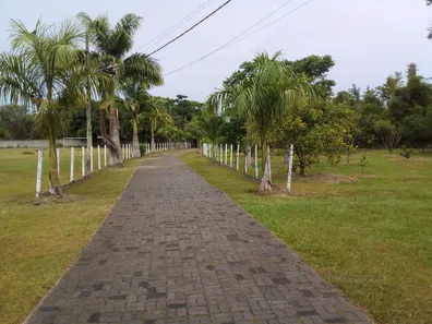 Fazenda/Sítio com 3 Quartos à venda, 50000m² no Recanto dos Magalhães (Cabuçu), Itaboraí