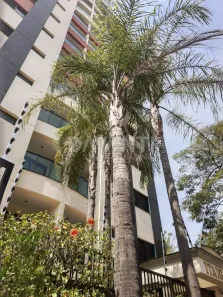 Apartamento com 1 Quarto à venda, 60m² no Botafogo, Campinas