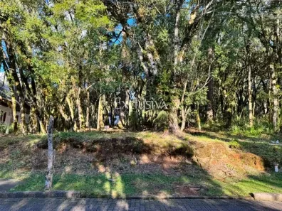 Lote/Terreno à venda, 728m² no Caracol, Canela