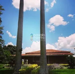 Fazenda/Sítio com 3 Quartos à venda, 100m² no Aeroporto, Batatais