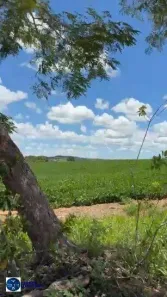 Fazenda/Sítio com 2 Quartos à venda, 44m² no Setor Montes Belos, São Luís de Montes Belos