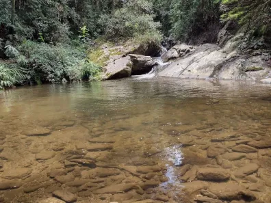 Fazenda/Sítio com 2 Quartos à venda, 100m² no Macacos, Silveiras