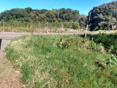 Lote/Terreno à venda, 500m² no Nova Petrópolis, Nova Petrópolis