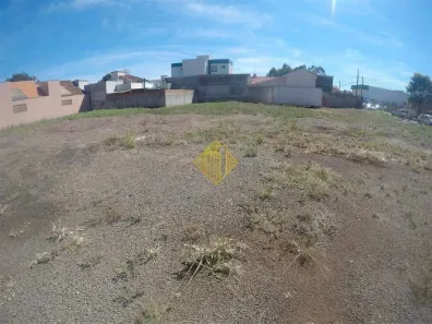 Lote/Terreno à venda, 384m² no Jardim Gisela, Toledo