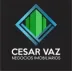 Miniatura da foto de Cesar Vaz Negócios Imobiliários